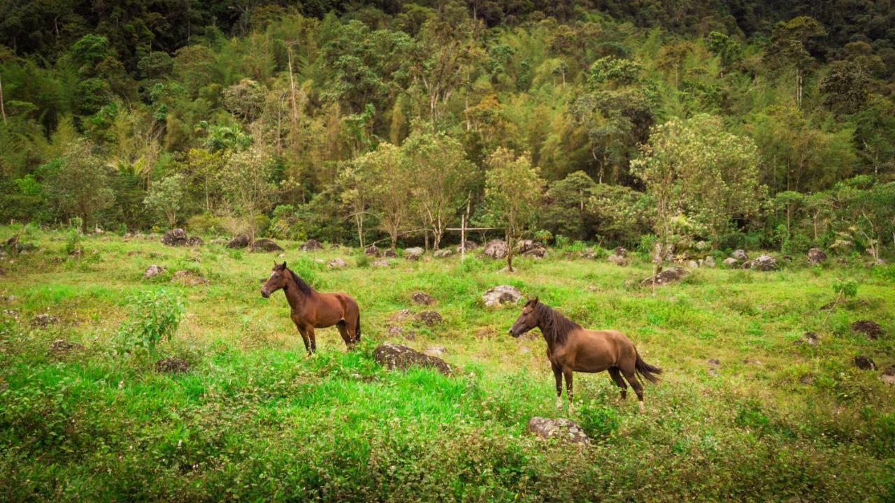 Sacha Urco Lodge Y Bosque Protector 明多 外观 照片